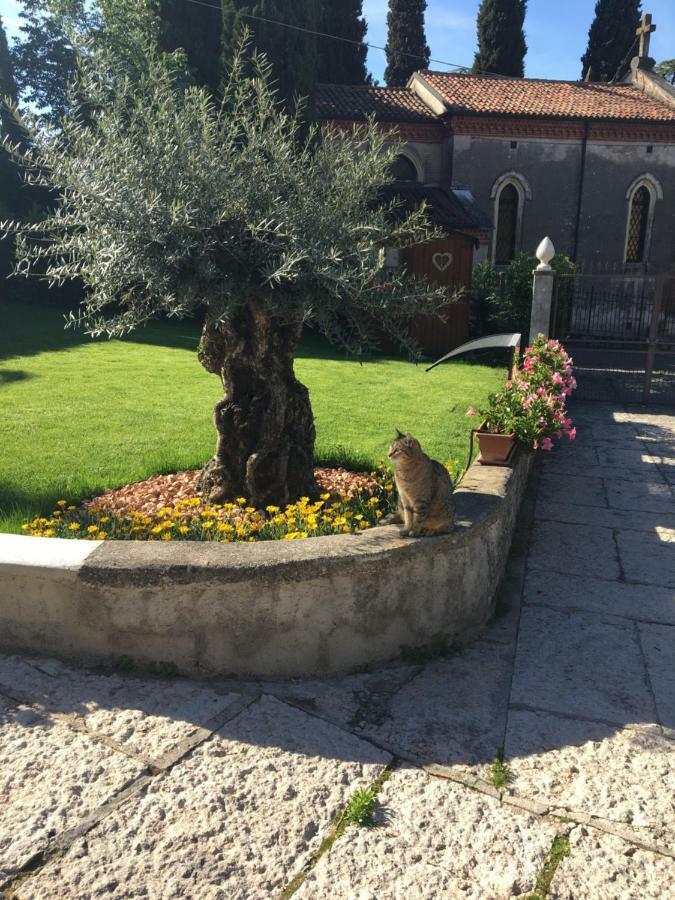 B&B Castel Montorio เวโรนา ภายนอก รูปภาพ