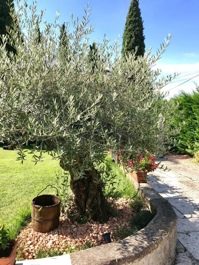 B&B Castel Montorio เวโรนา ภายนอก รูปภาพ